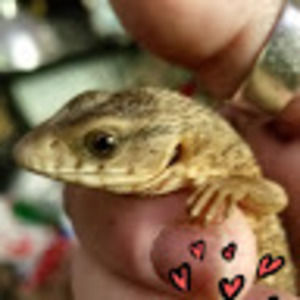 Meet your Posher, K.l.